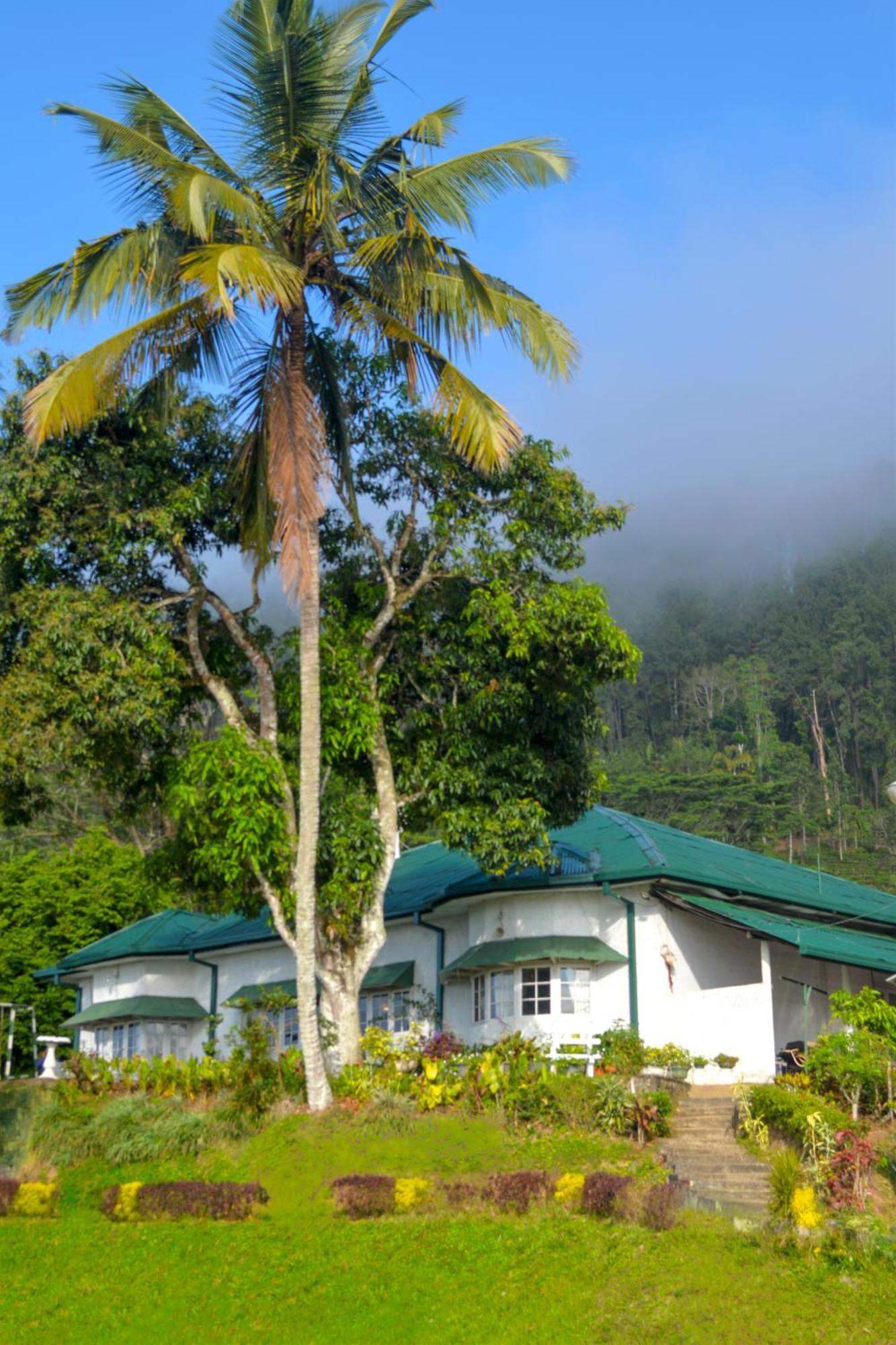 Hatale Tea Estate Bungalow Madulkele Εξωτερικό φωτογραφία
