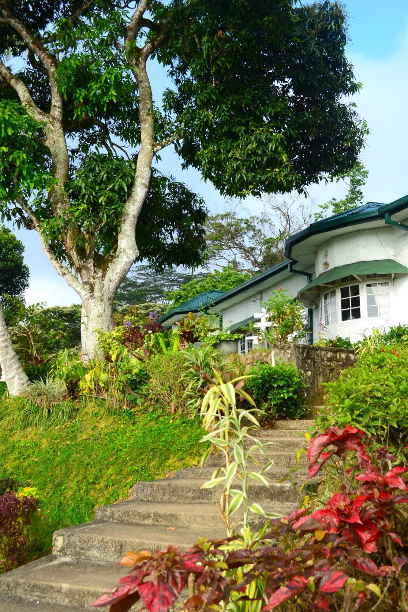 Hatale Tea Estate Bungalow Madulkele Εξωτερικό φωτογραφία