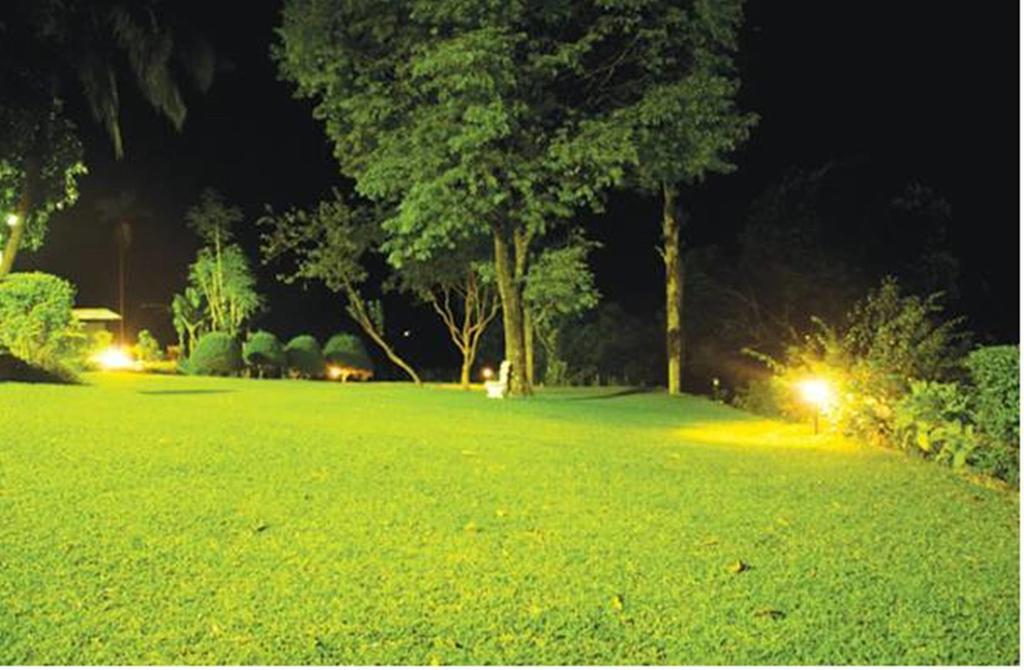 Hatale Tea Estate Bungalow Madulkele Εξωτερικό φωτογραφία